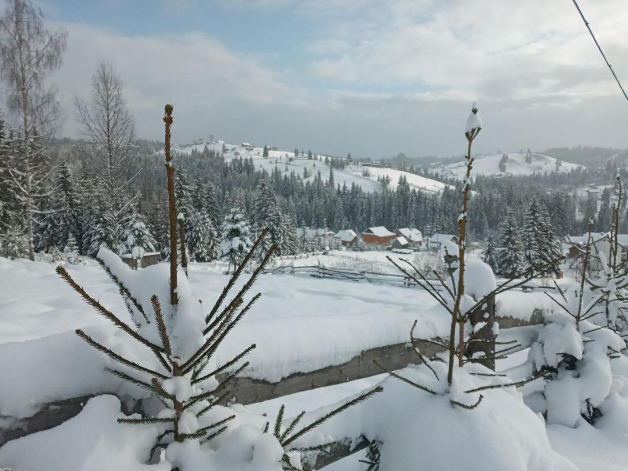 Котеджі Зоряне Небо Bukoveľ Exteriér fotografie
