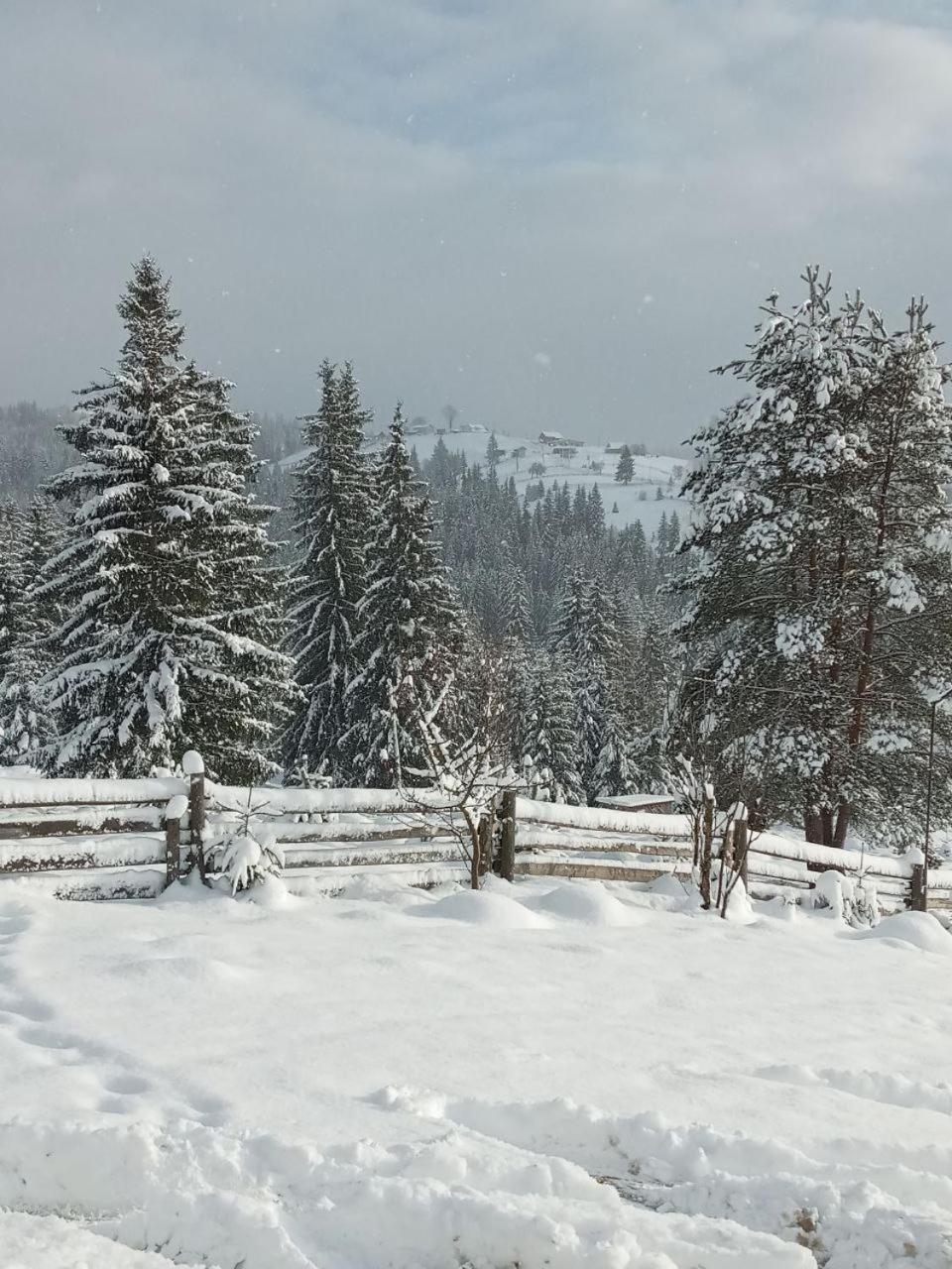 Котеджі Зоряне Небо Bukoveľ Exteriér fotografie