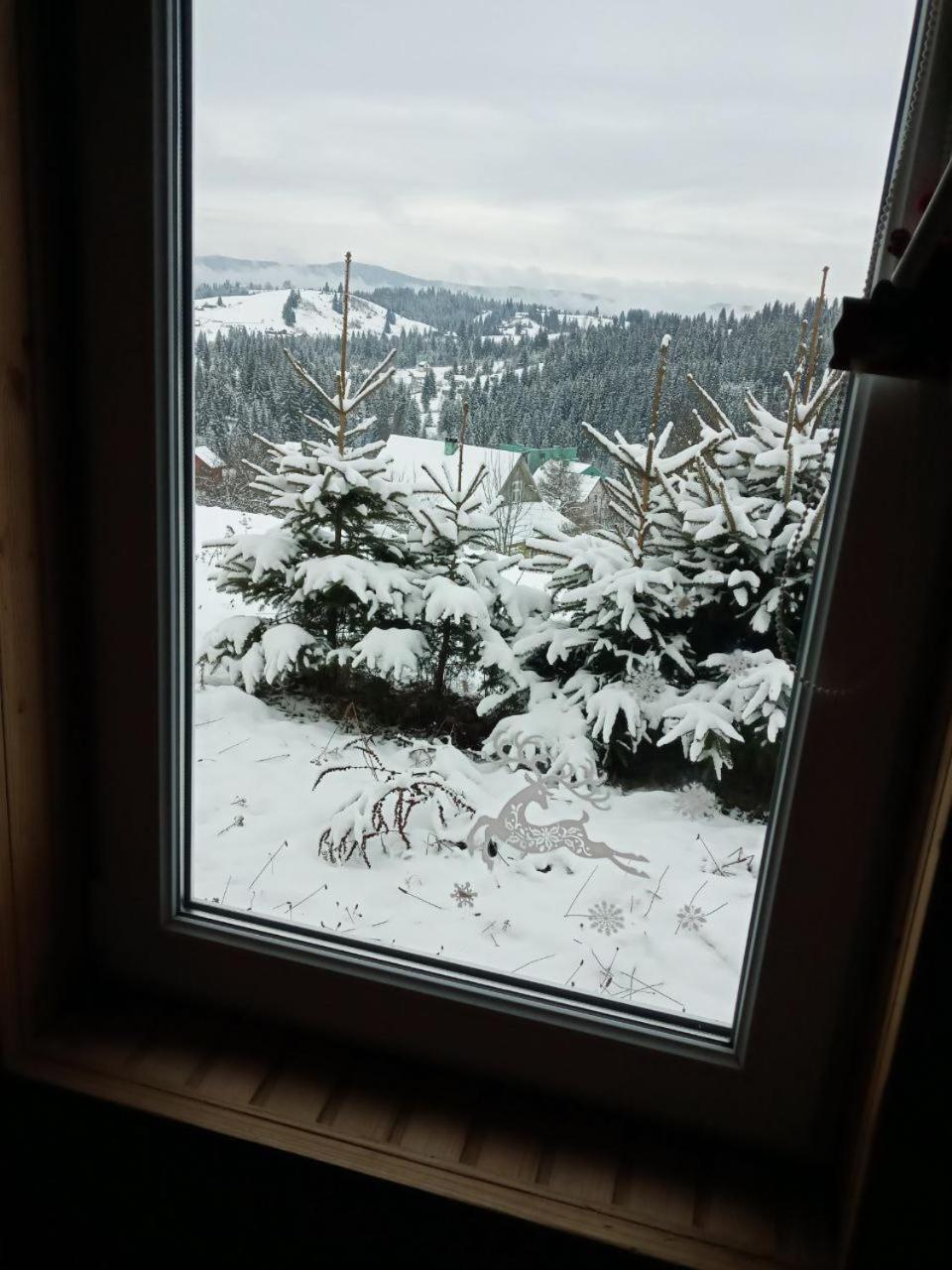 Котеджі Зоряне Небо Bukoveľ Exteriér fotografie