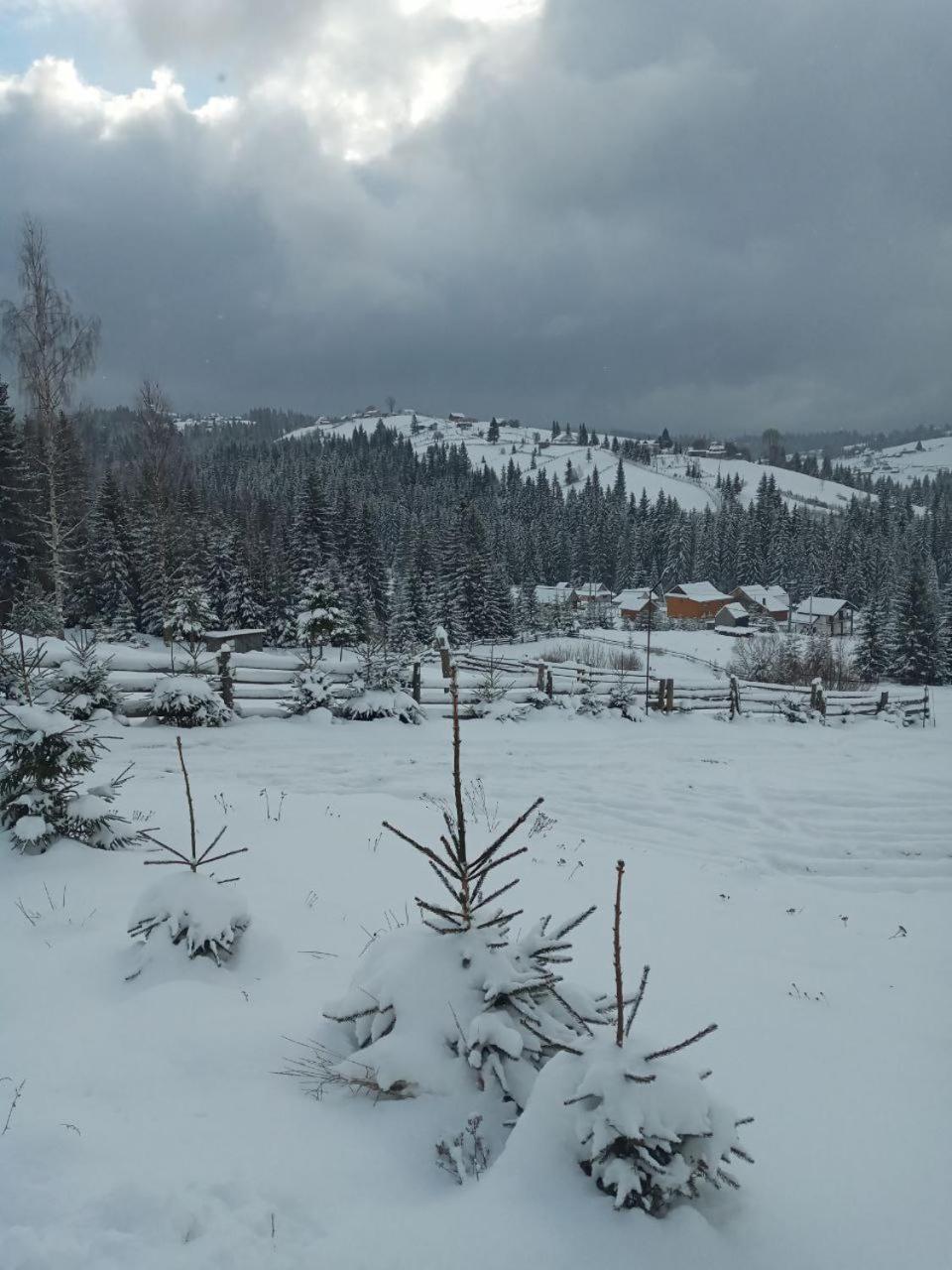 Котеджі Зоряне Небо Bukoveľ Exteriér fotografie