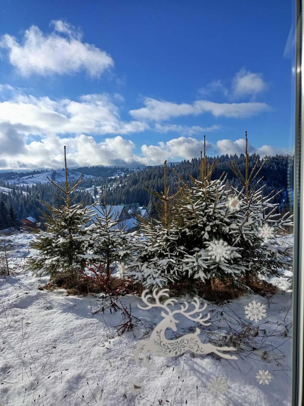 Котеджі Зоряне Небо Bukoveľ Exteriér fotografie